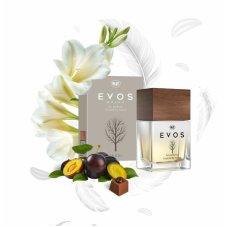 K2 EVOS GRACE PERFUME ANGEL 50 ml parfém do auta
