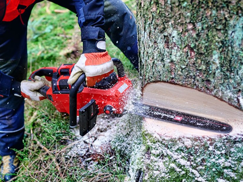 EINHELL PROFESSIONAL GP-LC 36/40 Li BL - Solo aku řetězová pila,(Power X-Change)